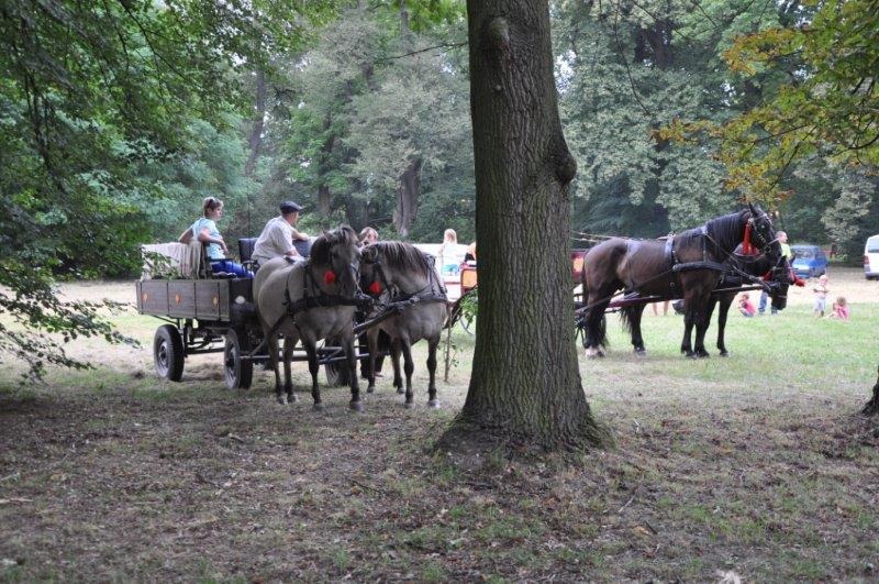 Szczepili drzewka i układali ikebany z kwiatów