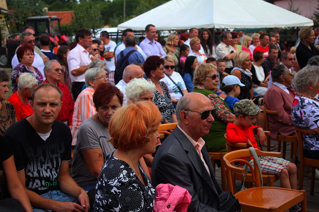Gminne dożynki w Warmątowichach