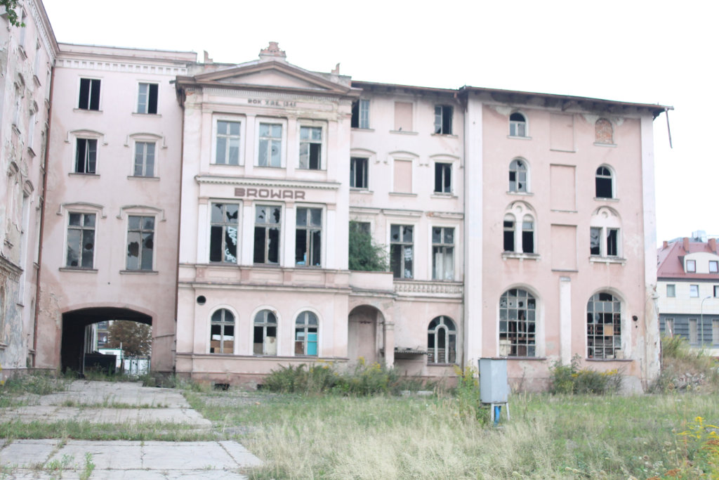 Bezpańskie koty Browar