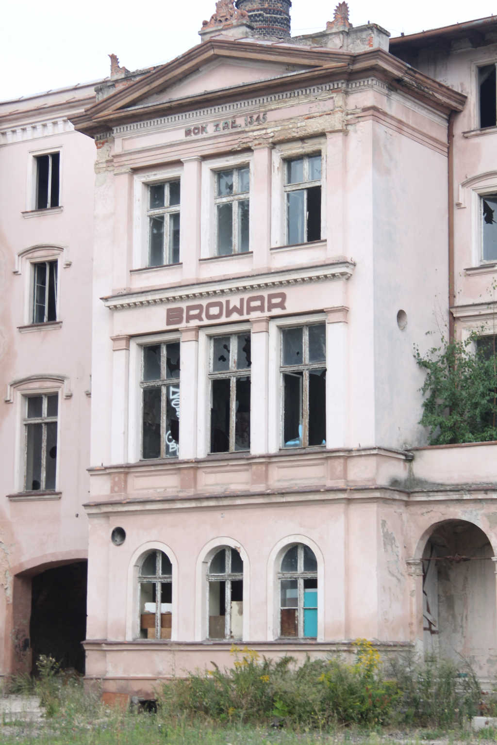 Bezpańskie koty Browar