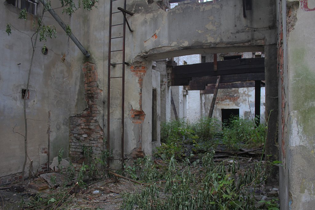 Nietypowa edukacyjna akcja twórców liegnitz.pl