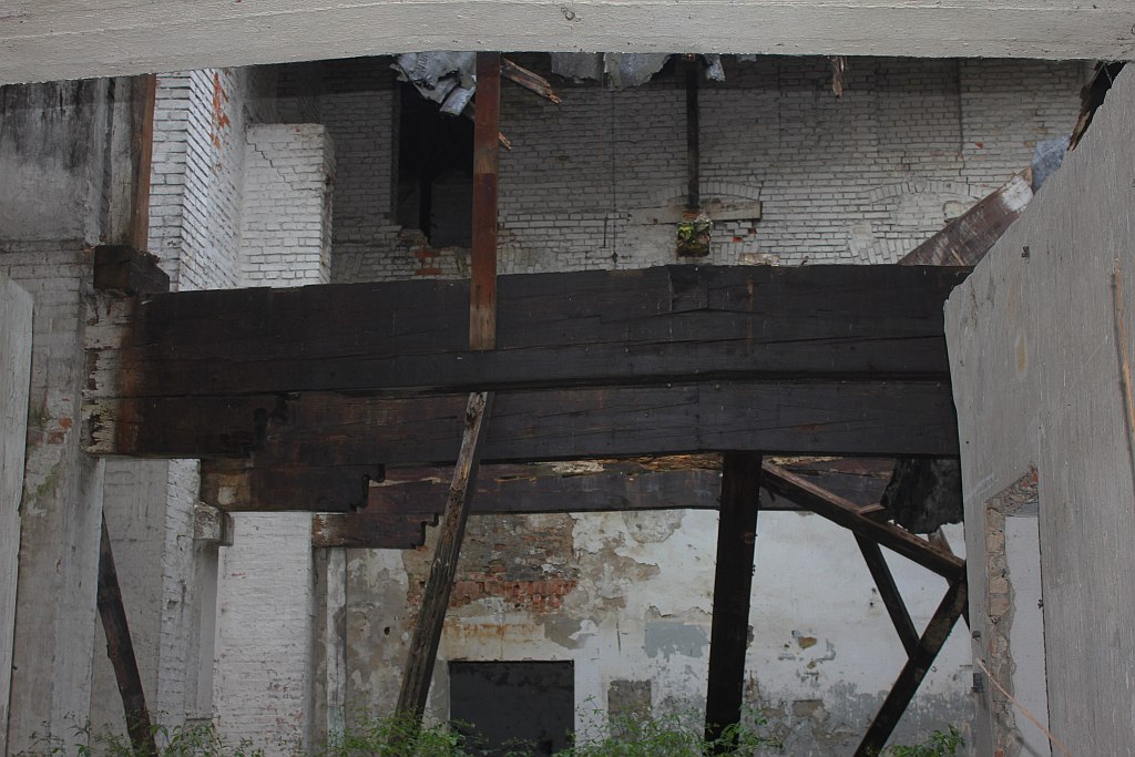 Nietypowa edukacyjna akcja twórców liegnitz.pl