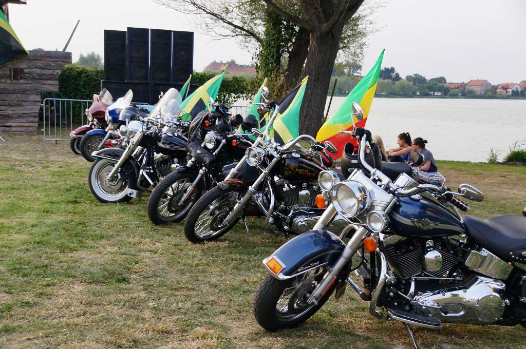 II Festiwal Reggae