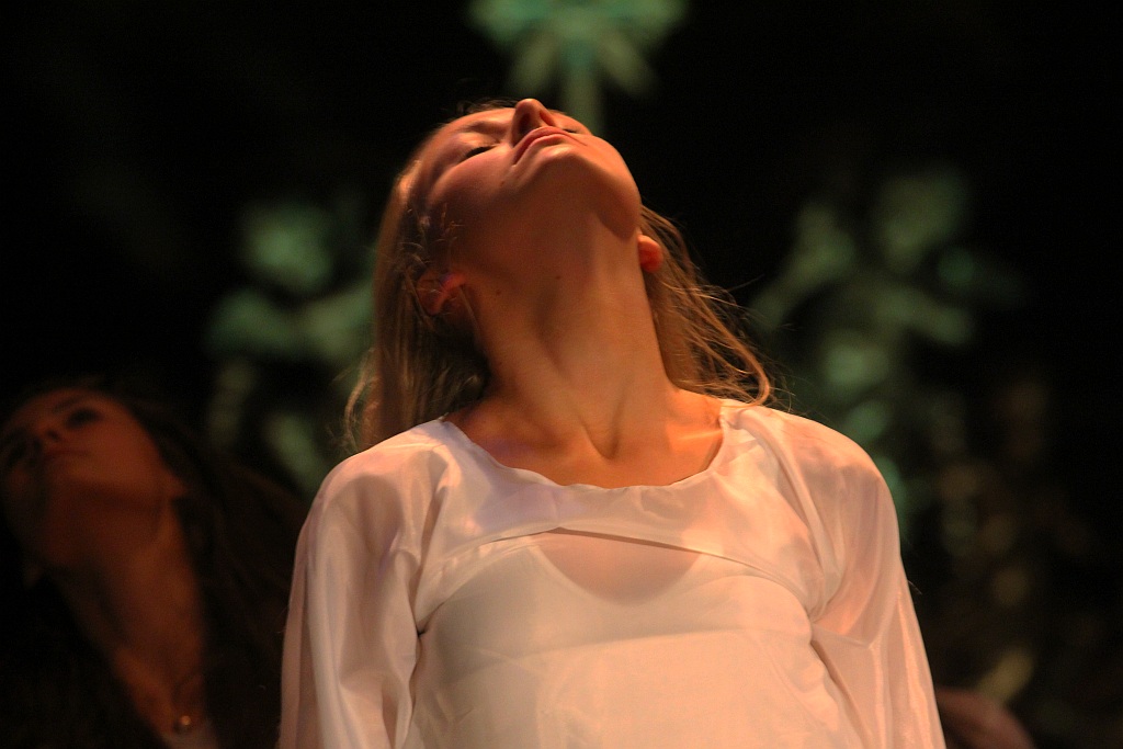 Bitwa pod Legnicą - 1241