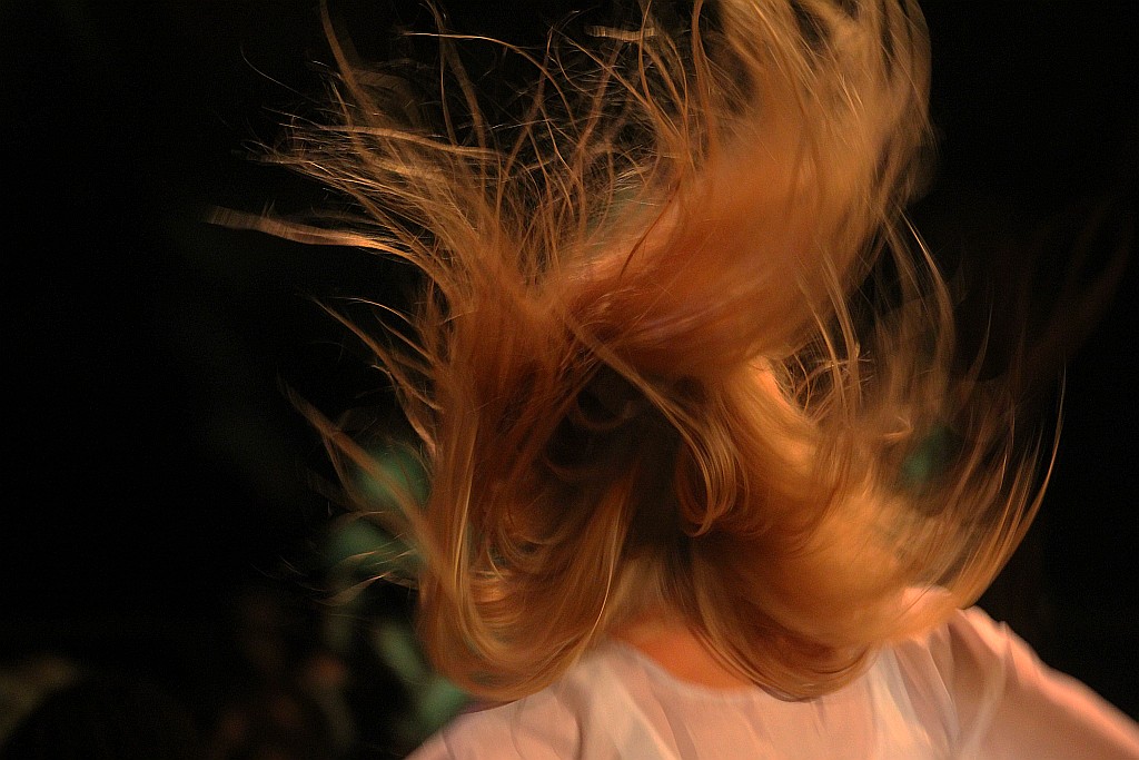 Bitwa pod Legnicą - 1241