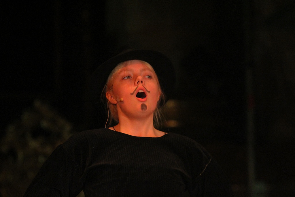 Bitwa pod Legnicą - 1241