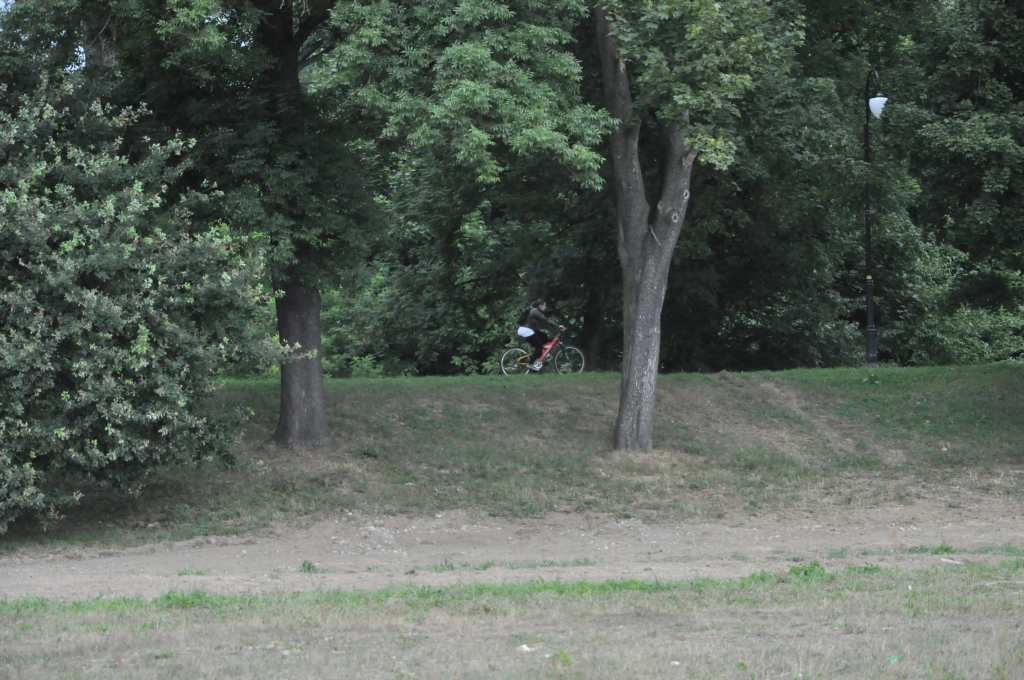 Rowerzyści nie znają parkowego regulaminu?