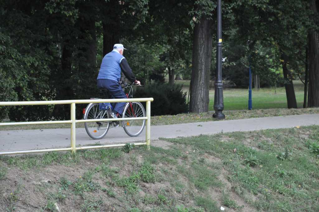 Rowerzyści nie znają parkowego regulaminu?