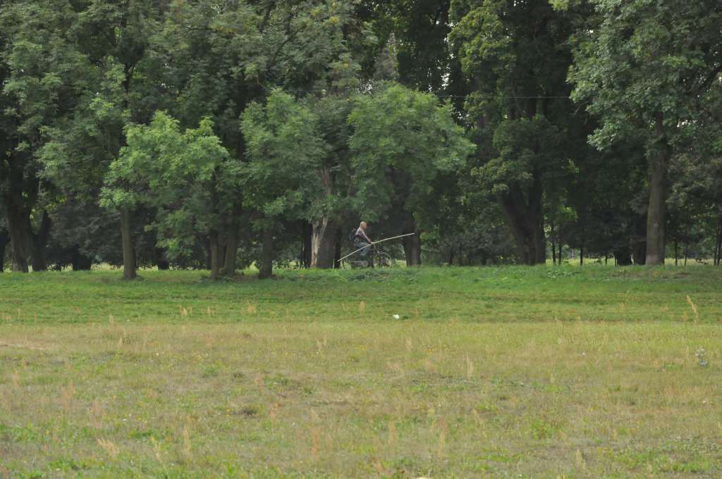 Rowerzyści nie znają parkowego regulaminu?