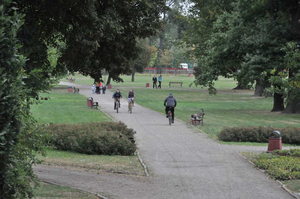 Rowerzyści nie znają parkowego regulaminu?