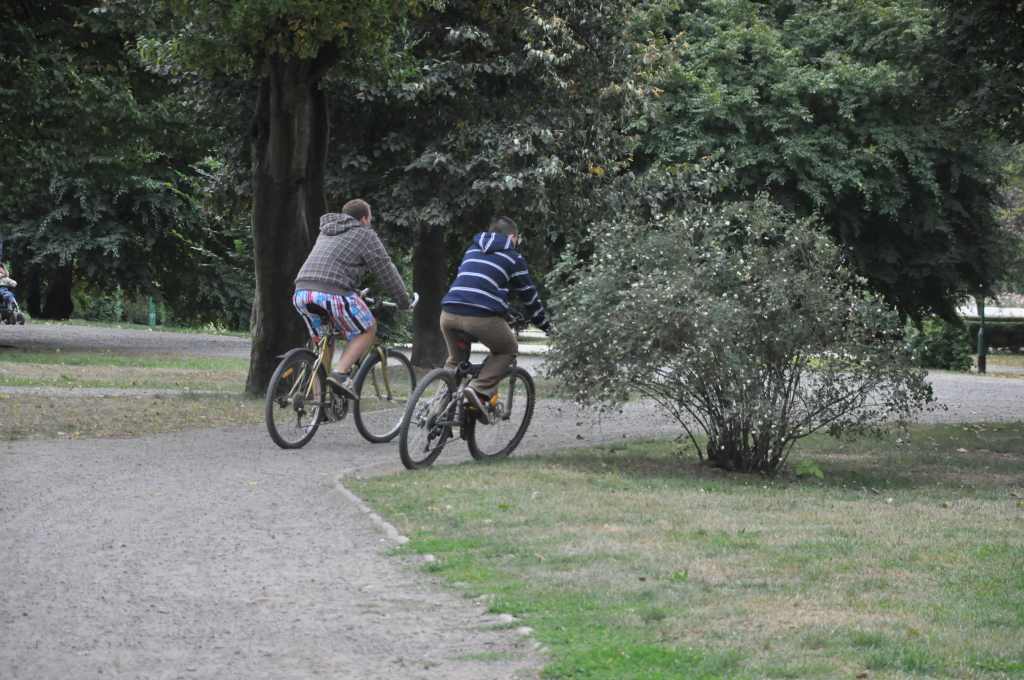 Rowerzyści nie znają parkowego regulaminu?