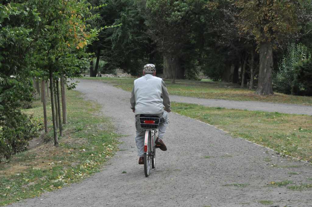 Rowerzyści nie znają parkowego regulaminu?