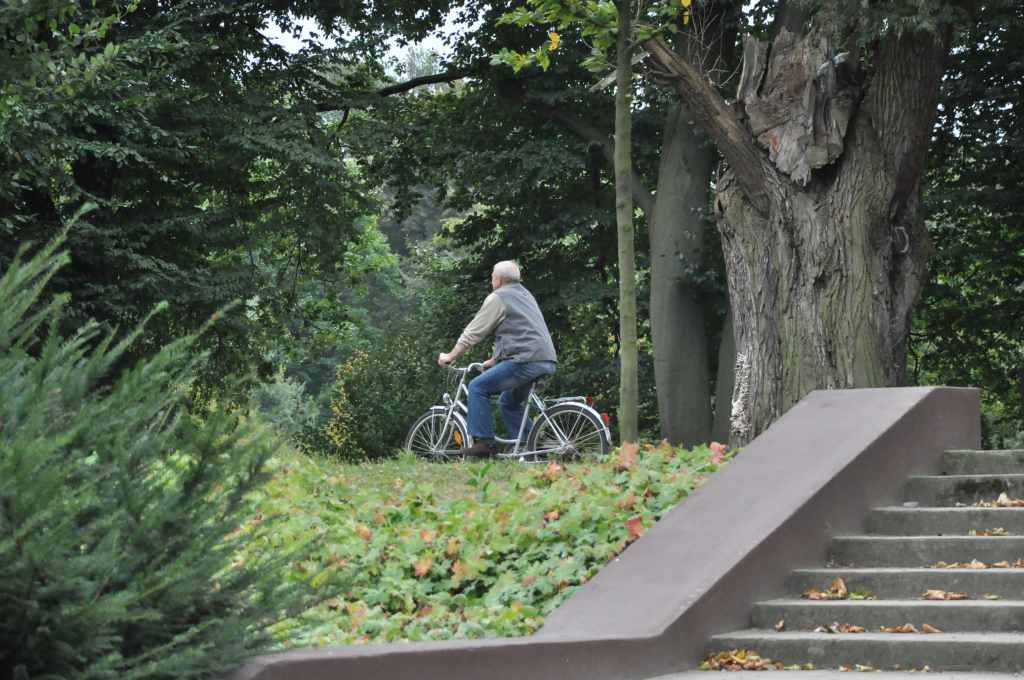 Rowerzyści nie znają parkowego regulaminu?