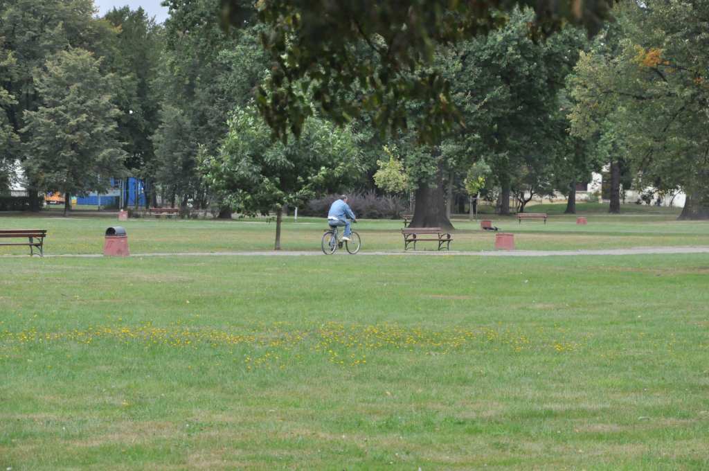 Rowerzyści nie znają parkowego regulaminu?