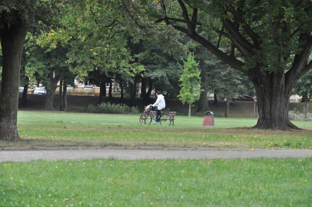 Rowerzyści nie znają parkowego regulaminu?