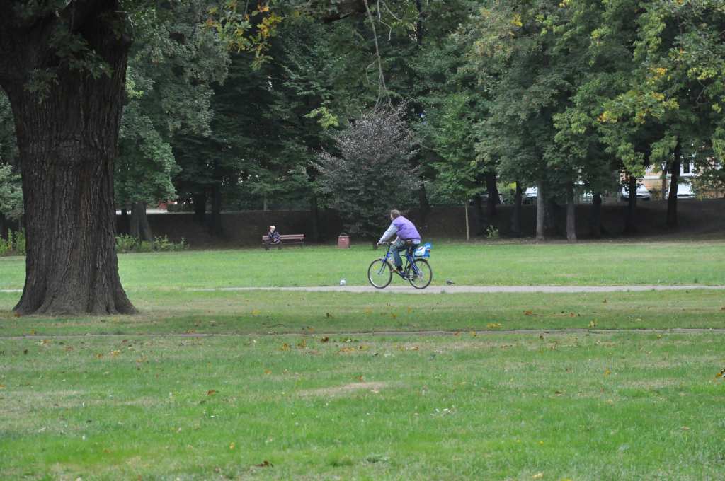 Rowerzyści nie znają parkowego regulaminu?