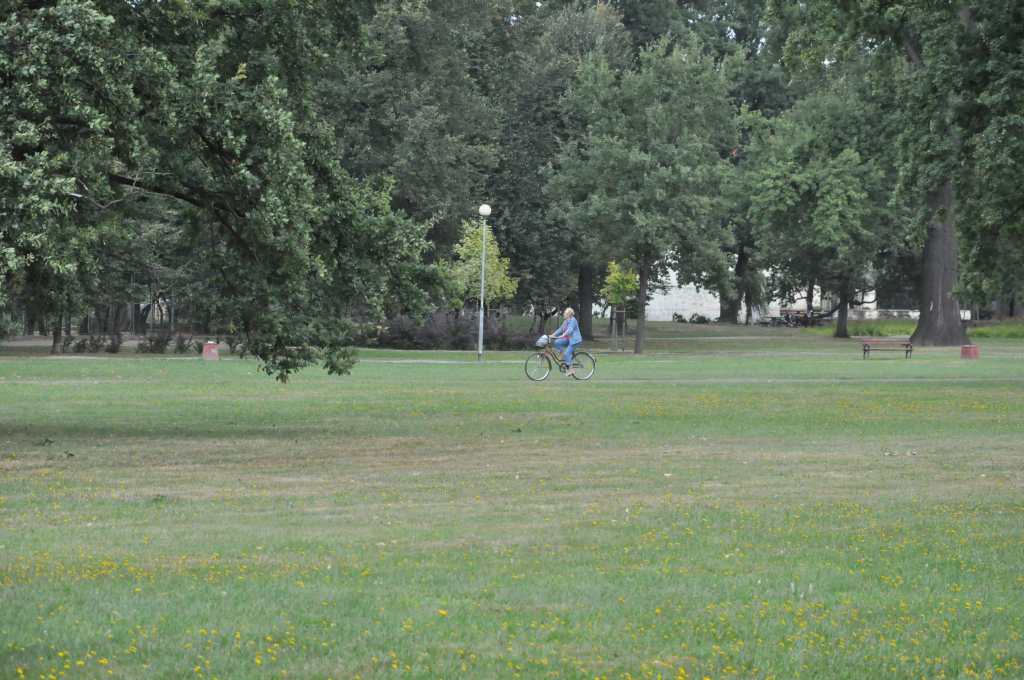 Rowerzyści nie znają parkowego regulaminu?