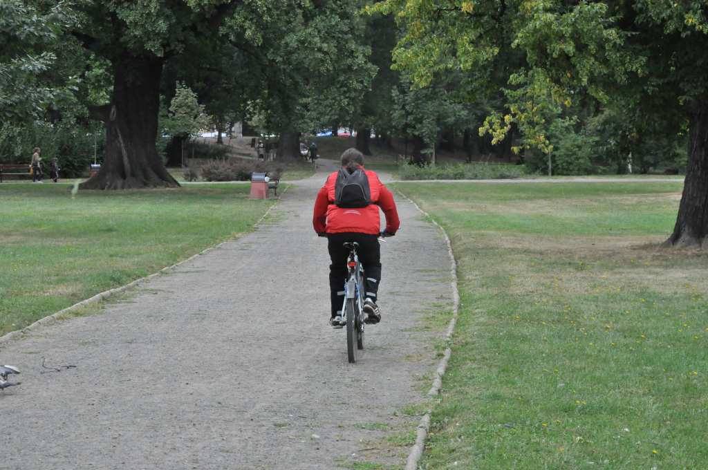 Rowerzyści nie znają parkowego regulaminu?