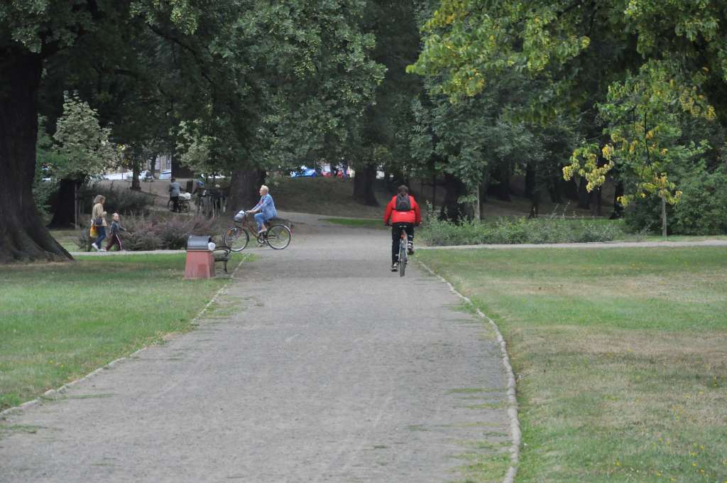 Rowerzyści nie znają parkowego regulaminu?