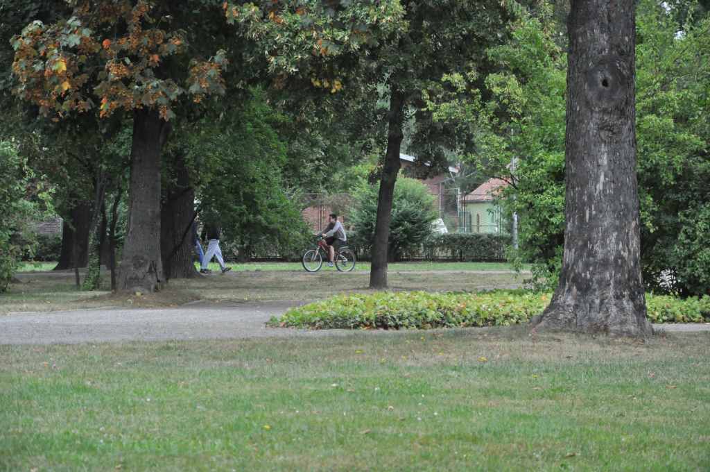 Rowerzyści nie znają parkowego regulaminu?