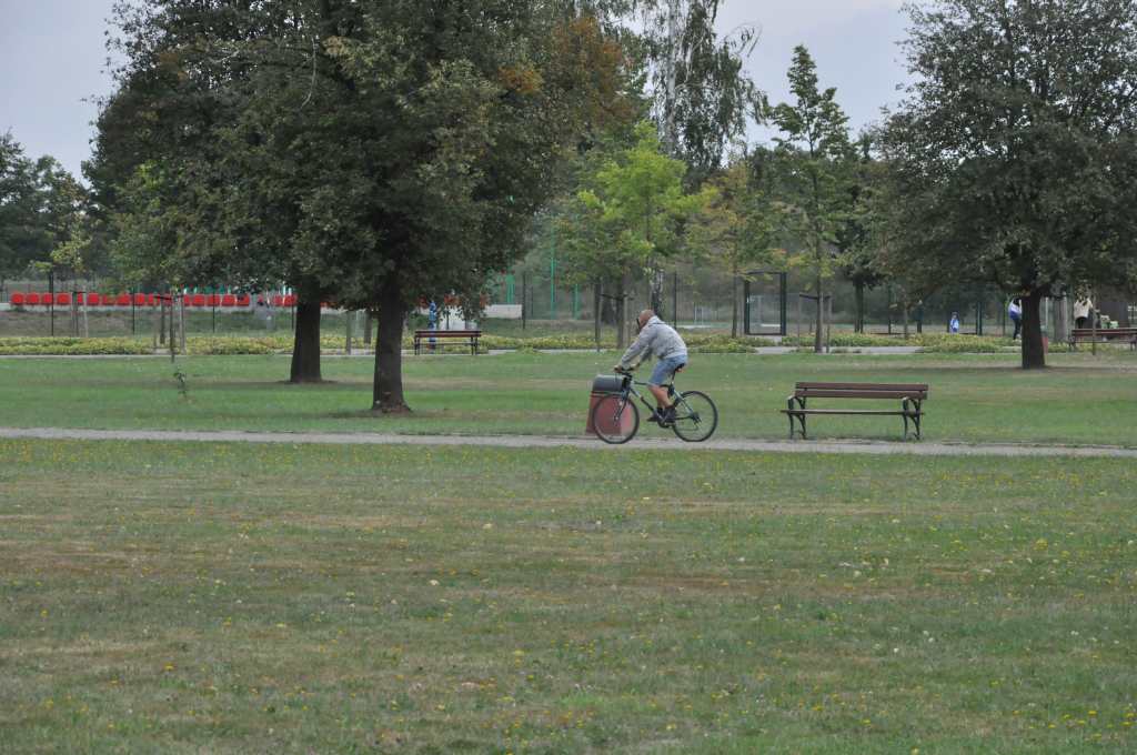 Rowerzyści nie znają parkowego regulaminu?