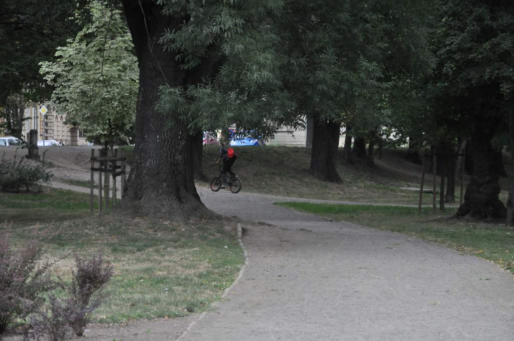 Rowerzyści nie znają parkowego regulaminu?