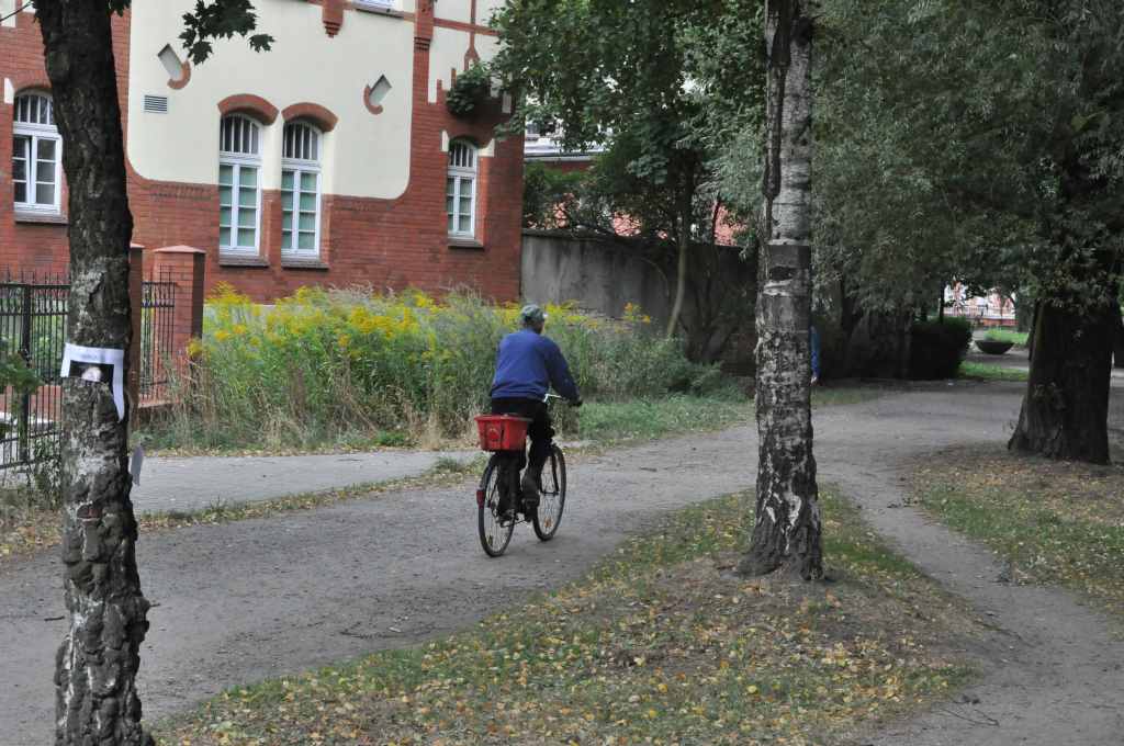 Rowerzyści nie znają parkowego regulaminu?