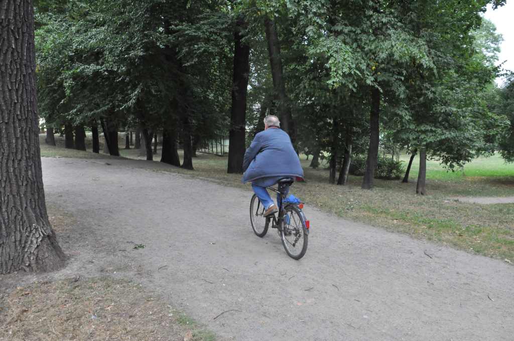Rowerzyści nie znają parkowego regulaminu?