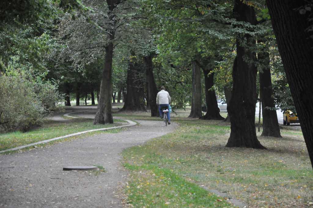 Rowerzyści nie znają parkowego regulaminu?