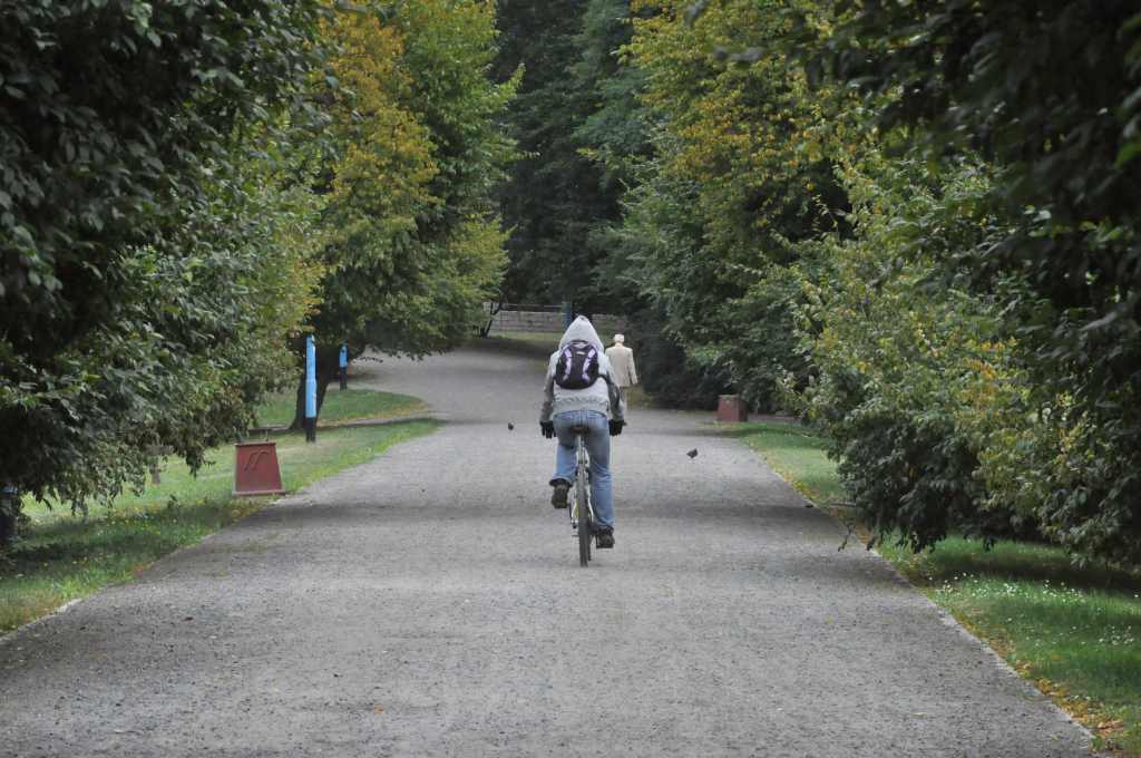 Rowerzyści nie znają parkowego regulaminu?