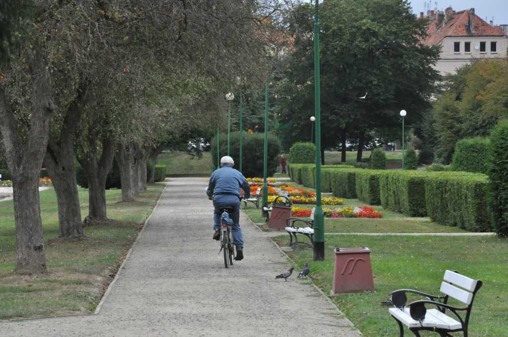 Rowerzyści nie znają parkowego regulaminu?