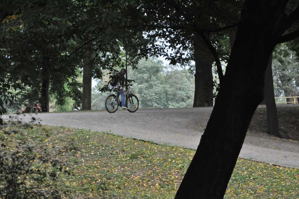 Rowerzyści nie znają parkowego regulaminu?