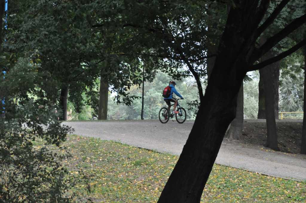 Rowerzyści nie znają parkowego regulaminu?