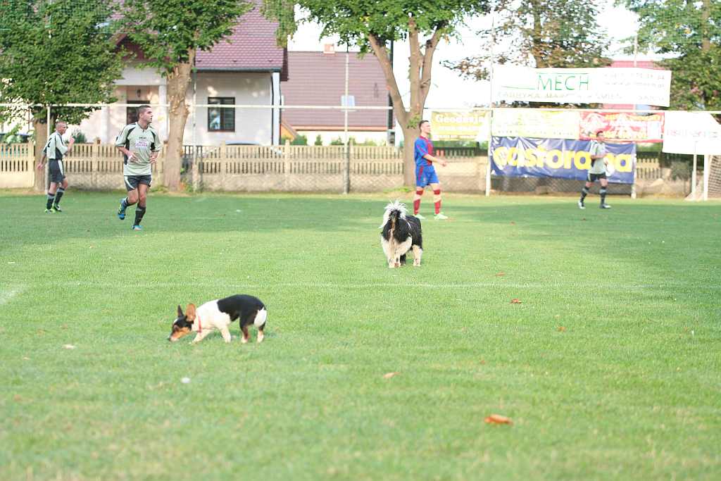 PP: KS Legnickie Pole - Konfeks 1:4