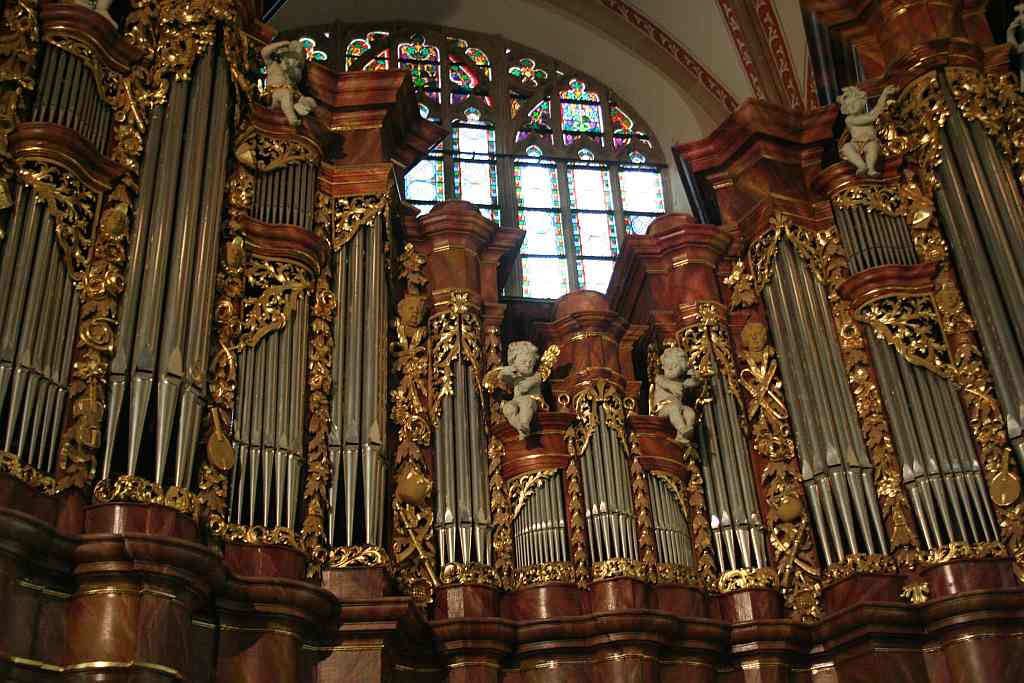 Wycieczka organowa szlakiem Schlaga