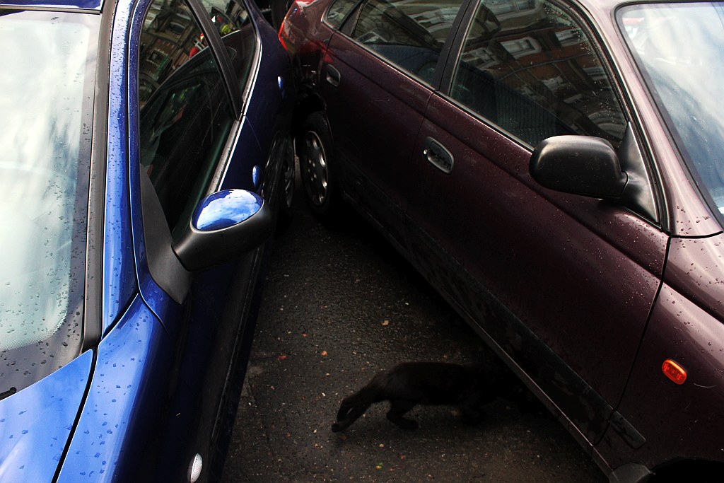 Zderzenie dwóch samochodów. Kierowcy w szpitalu