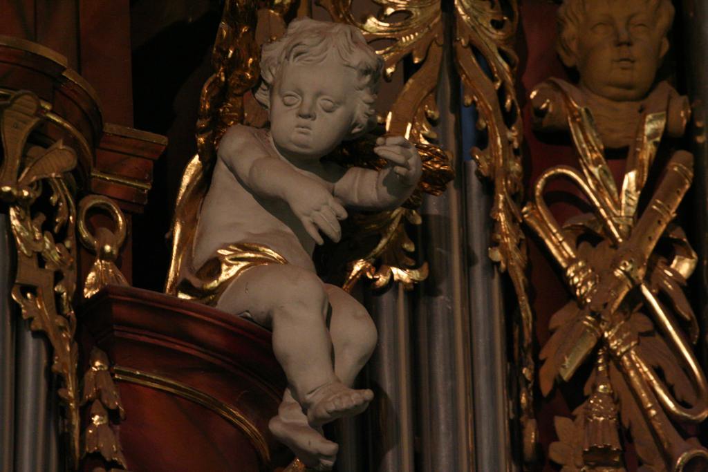 Wycieczka organowa szlakiem Schlaga