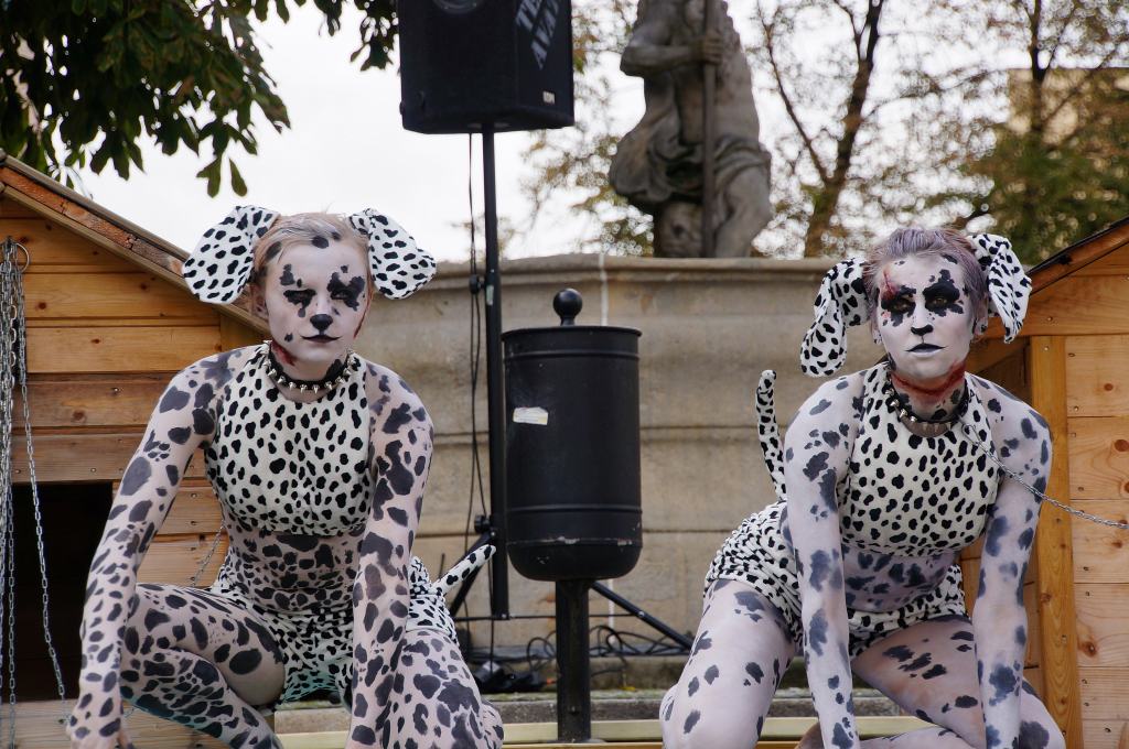 Zerwijmy psom łańcuchy