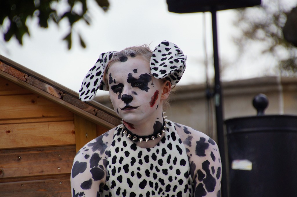 Zerwijmy psom łańcuchy