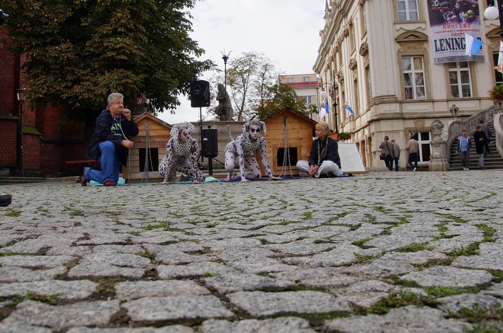 Zerwijmy psom łańcuchy