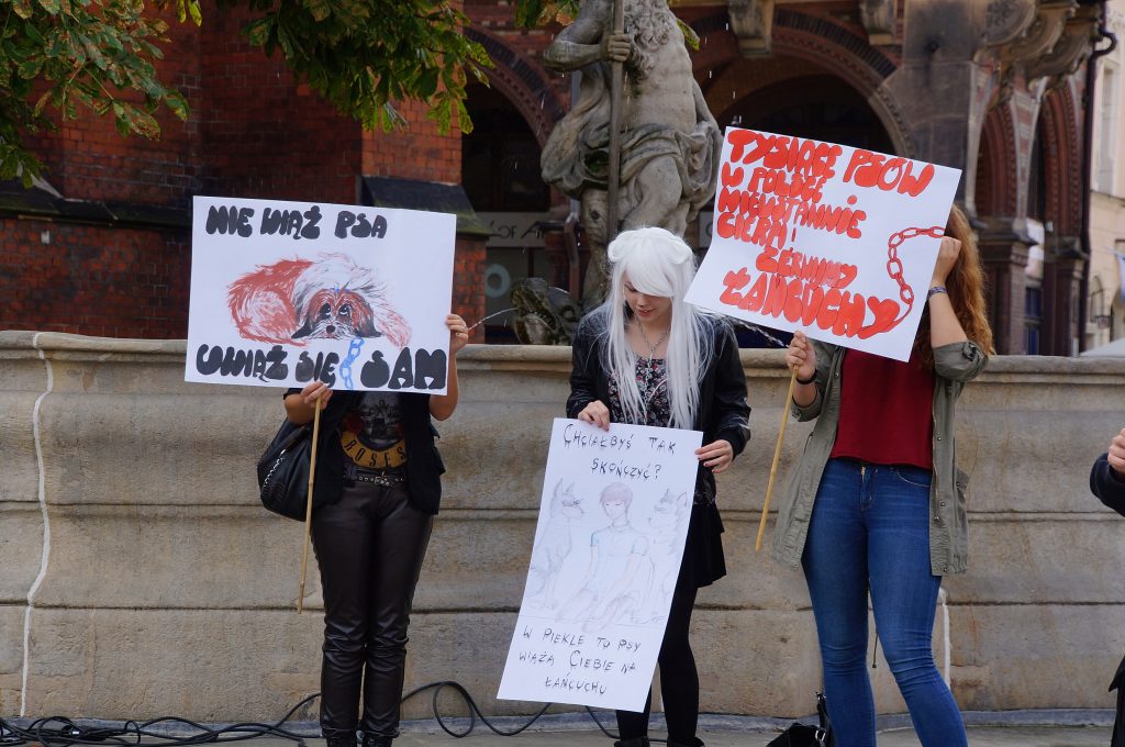 Zerwijmy psom łańcuchy