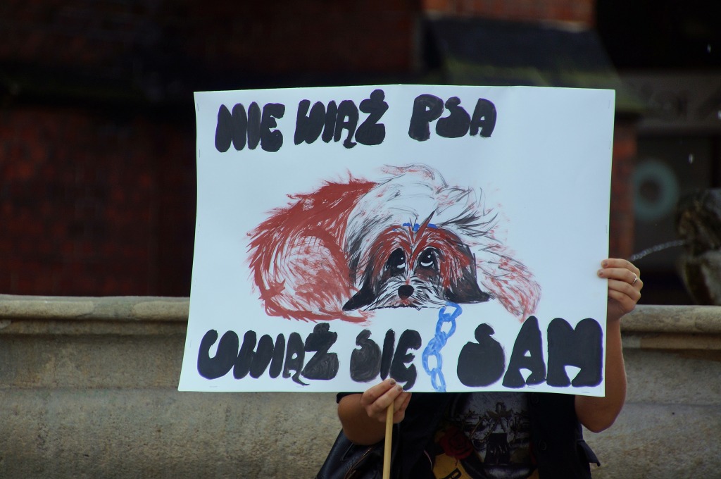 Zerwijmy psom łańcuchy