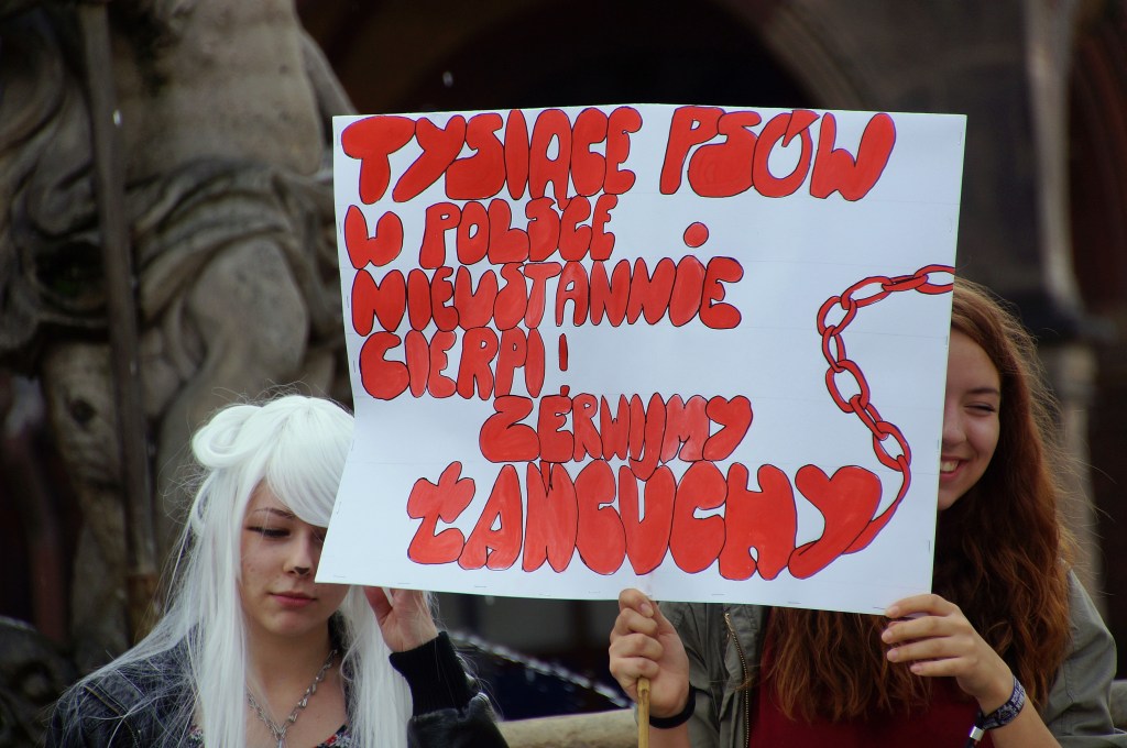 Zerwijmy psom łańcuchy