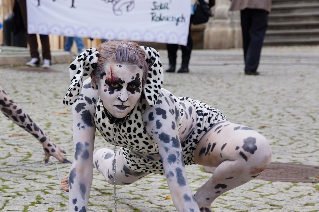 Zerwijmy psom łańcuchy