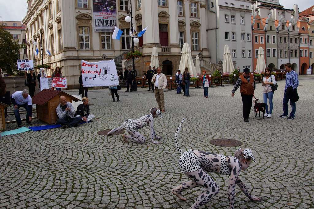 Zerwijmy psom łańcuchy