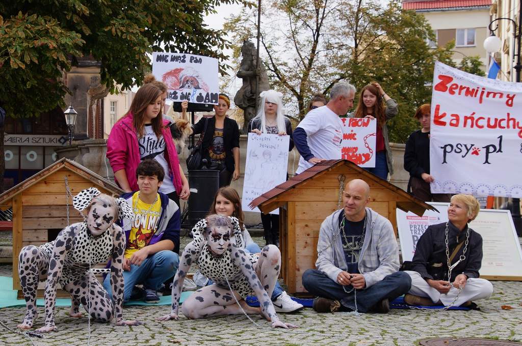 Zerwijmy psom łańcuchy