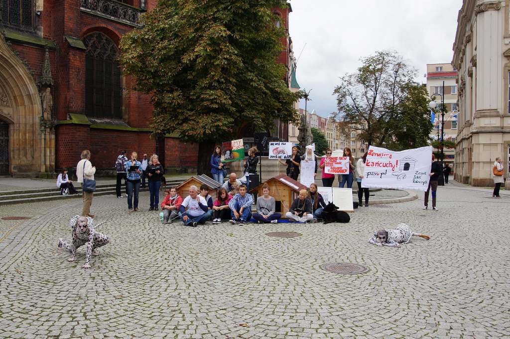 Zerwijmy psom łańcuchy