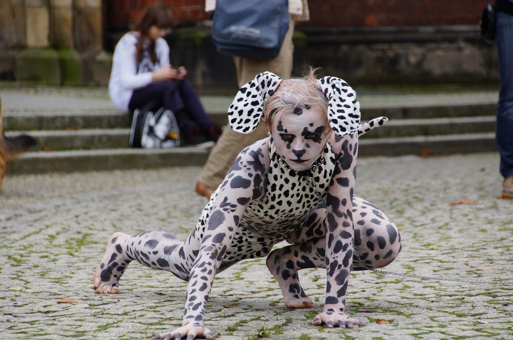 Zerwijmy psom łańcuchy