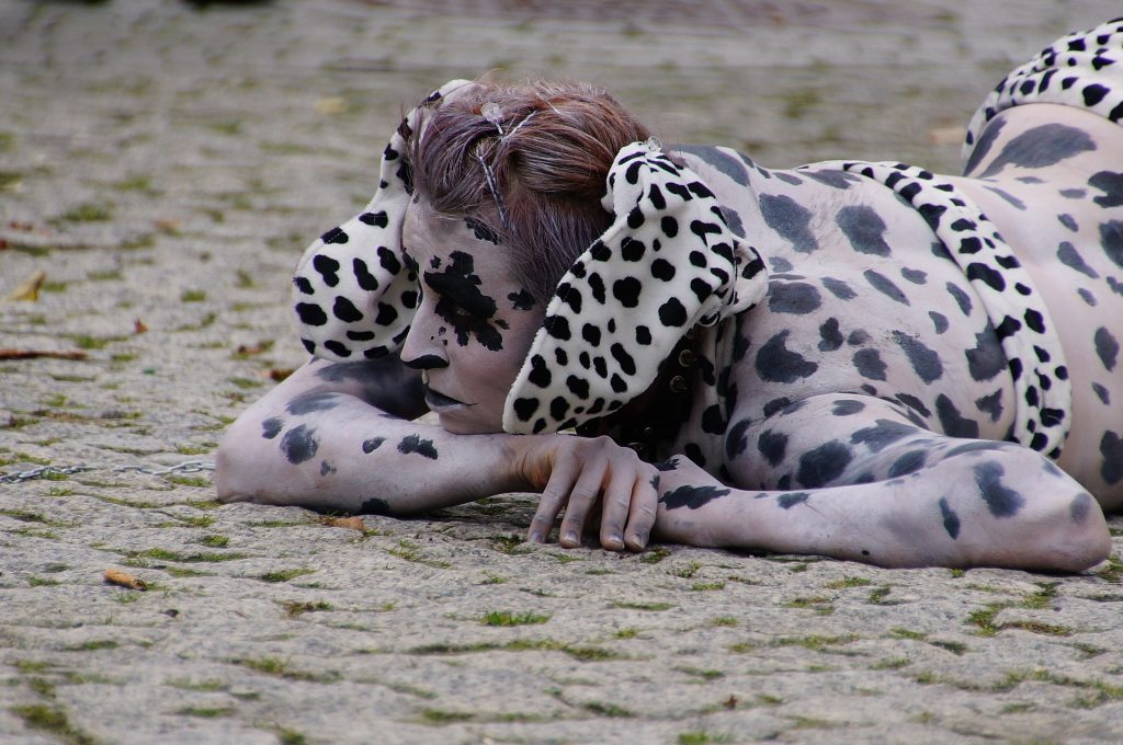 Zerwijmy psom łańcuchy