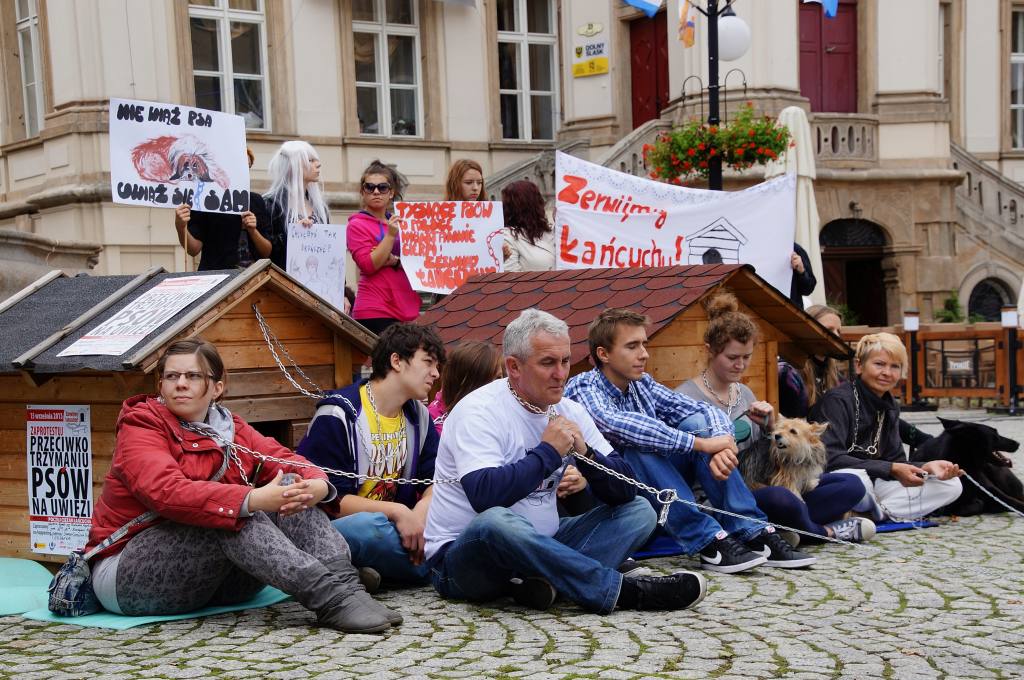 Zerwijmy psom łańcuchy